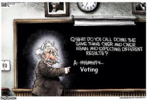 Einstein on Voting---insanity